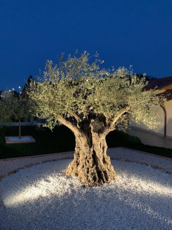 B&B Alciliegio Casnate Con Bernate Eksteriør bilde